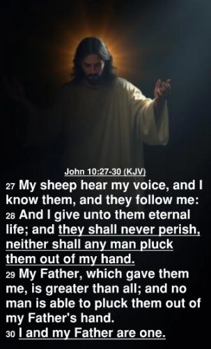 John 10.27