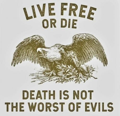 LIVE FREE OR DIE   TS
