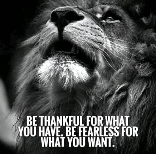 060125 - Thankful vs Fearless