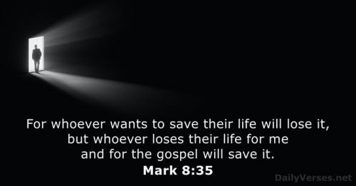 mark-8-35