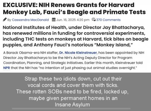 NIH ticks
