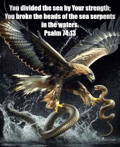 062825 - Eagle vs snakes Ps 74-13