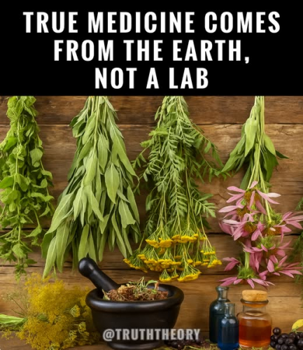 GOD created everything for us that we need