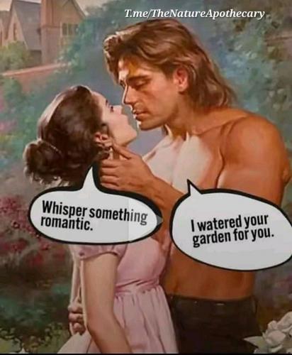 photo_2025-06-30_14-02-55