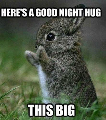 Good Night 76 - Big hug
