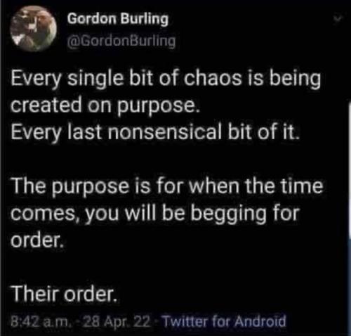 photo_2025-06-11_22-33-48