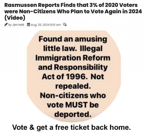 Non citizen vote
