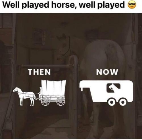 photo_2025-06-15_17-46-12