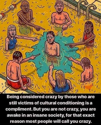 multiculturalism 1 - crazy