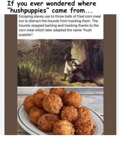 Hush Puppies