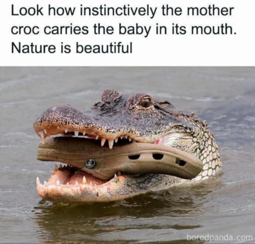 1000098844