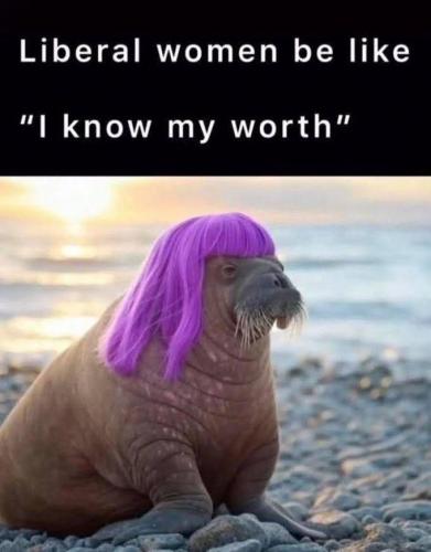1000018341