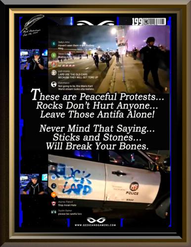 ICE Riots in LA ~Sticks & Stones Will Break Your Bones~