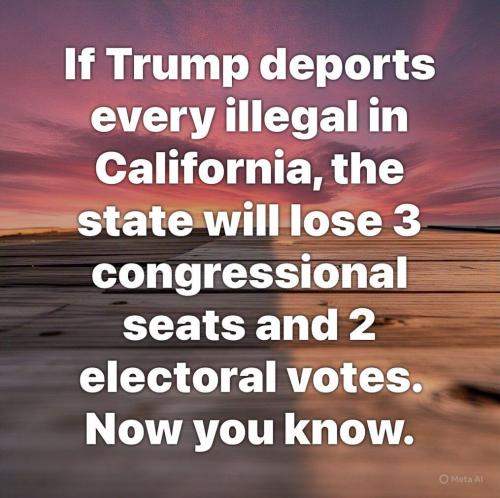 7545f65e-1988-4952-ba4c-90ba061c9e69_1015x1012