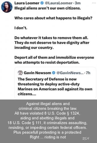 Loomer illegals