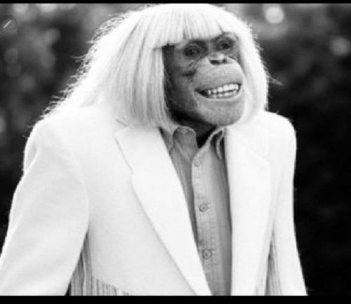 photo_2025-06-01_11-44-54