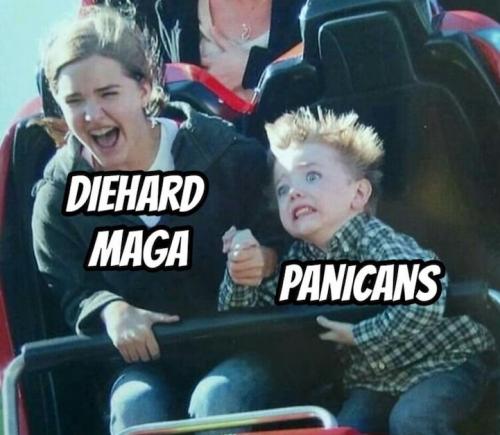 panicans