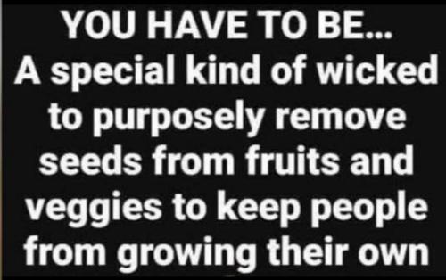 photo_2025-06-18_22-34-47