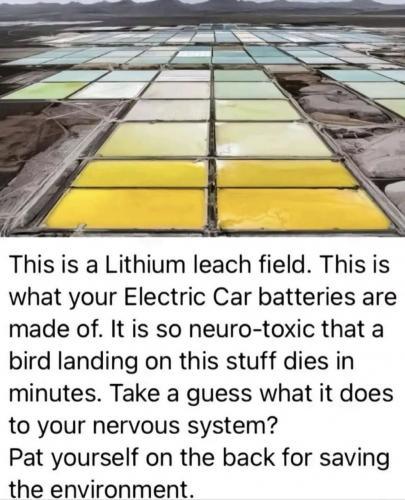 photo_2024-10-15_20-39-25