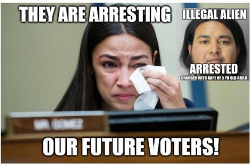 BIDENAOCVOTERARREST