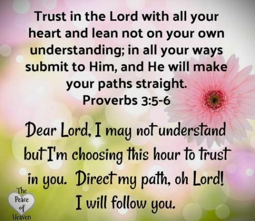 061925 - Trust in the Lord, Pro 3-5,6