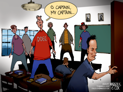 elon-musk-leaves-doge