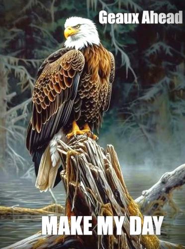 062225 - Make my day Eagle