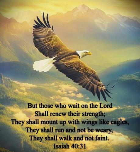 062725 - Wings like eagles Isa 40-31