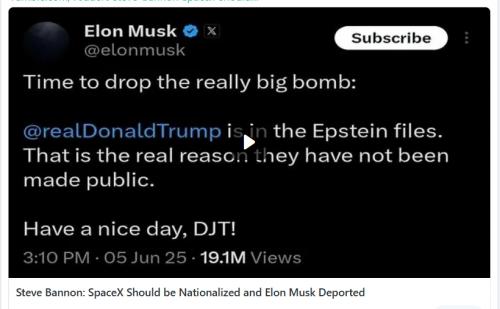Steve Bannon attacking Musk screenshot