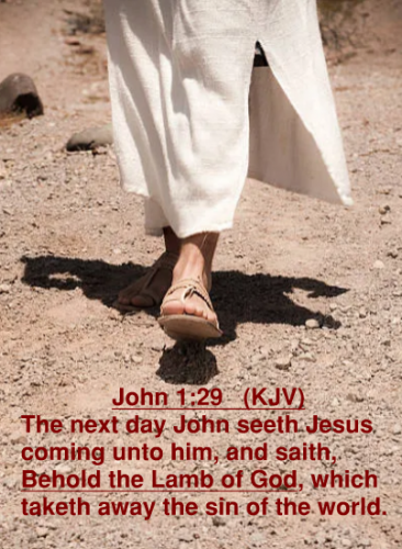 John 1.29