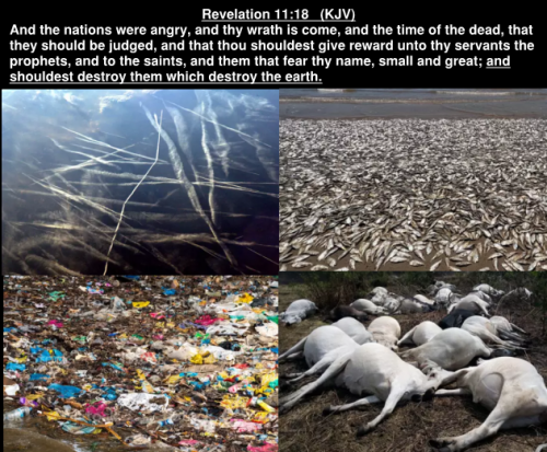 Rev 11.18