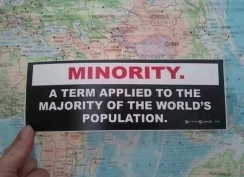 Multiculturalism 16 - minority my ass