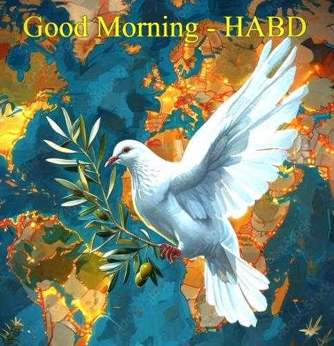 062625 - Morning Dove