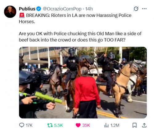 ICE Rioters Harrassing Police on Horses