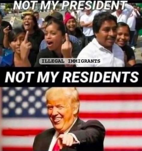 photo_2025-06-12_10-59-59