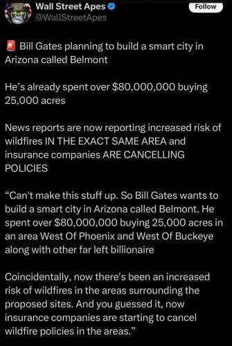 photo_2025-06-05_16-36-18