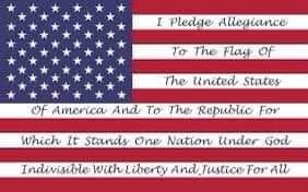 Pledge 14