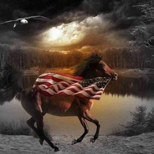 Patriotic - Horse with flag