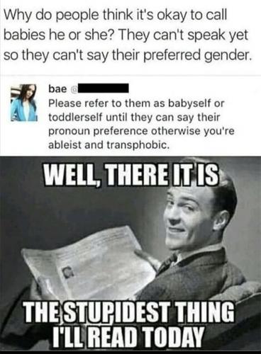 stupidest read