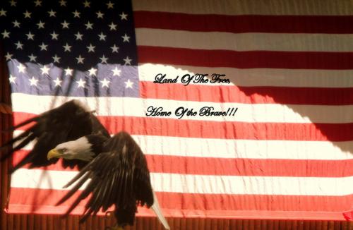 Land of the free...