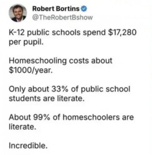 HOME SCHOOLING  TS