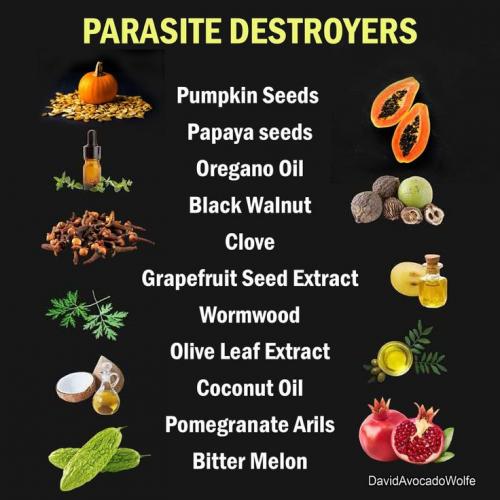 Parasite destroyers  KW