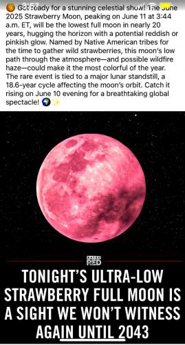 Strawberry Moon ~June 11th 2025~