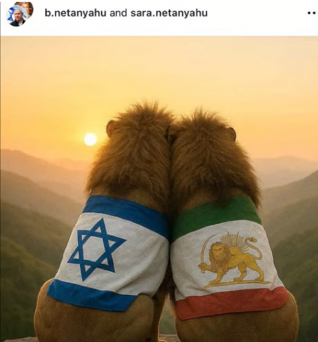 23.06.2025_10.54.39_REC