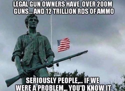 gun