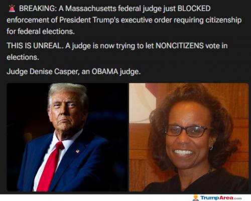 judges