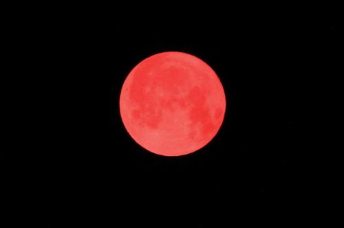 StrawberryMoon2025_003