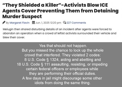 Activist lock up