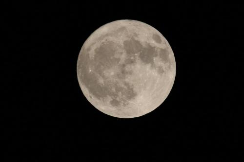 StrawberryMoon2025_001