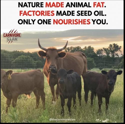 nature animal fat